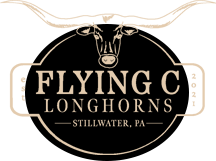 Flying C Longhorns logo